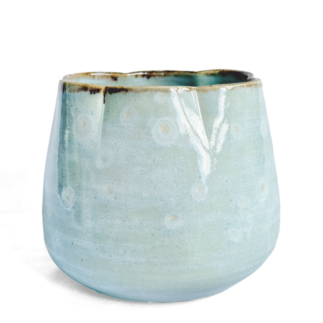 Turquoise blue celadon glazed scalloped edge pot with crystal bloom